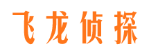 平陆婚外情取证